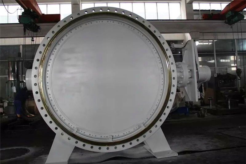 butterfly valve to italy