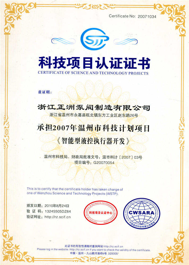 Certificate of science and technology project