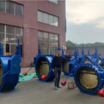 eccentric rubber lined check butterfly valve (4)