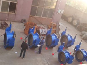 eccentric-rubber-lined-check-butterfly-valve-1-300x225