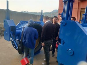 eccentric-rubber-lined-check-butterfly-valve-3-300x225