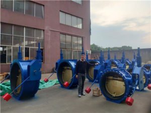 eccentric-rubber-lined-check-butterfly-valve-4-300x225