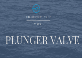 plunger valve presentation-zzpv